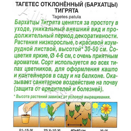 Бархатцы Тигрята Аэлита Ц 