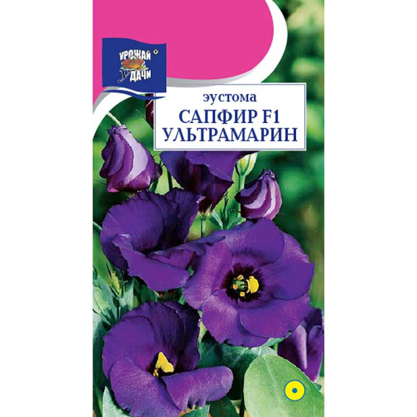 Эустома Сапфир Ультрамарин Урожай у дачи Ц 