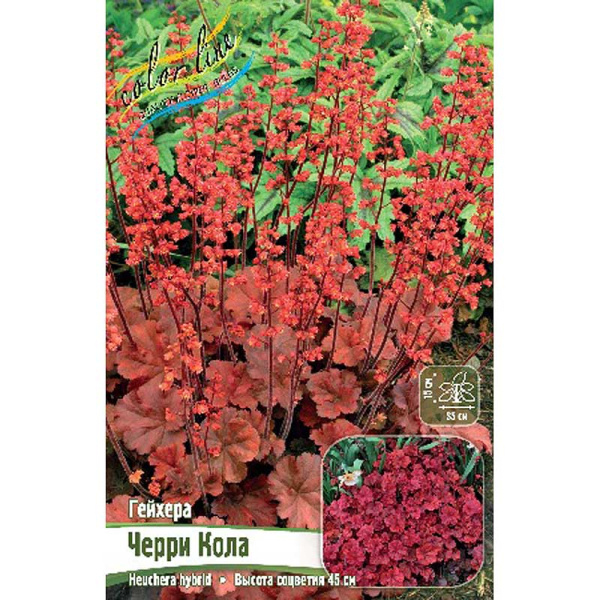 Гейхера Черри Кола I 25 шт Биг-пак 9670