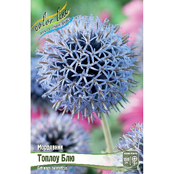 Мордовник Топлоу Блю I 25 шт Биг-Пак 2538