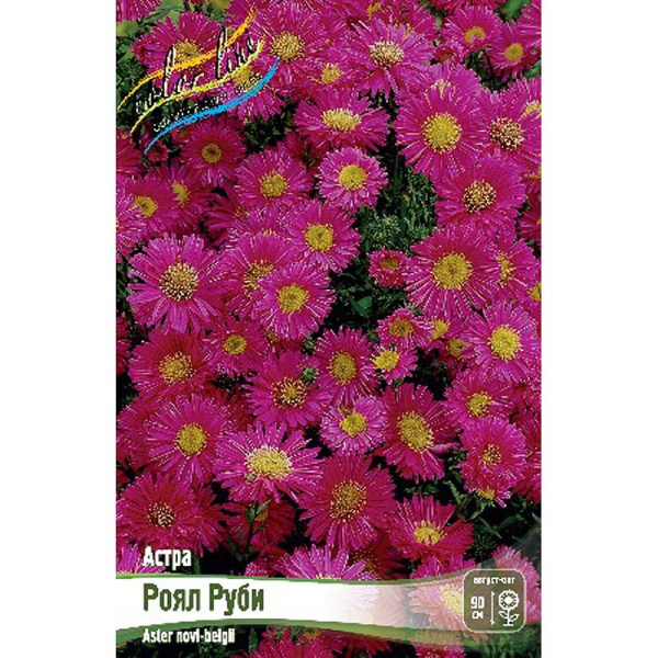 9869 Биг-Пак Астра Роял Руби I 25 шт