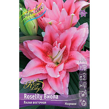 16212 Биг-Пак Лилия Roselily Виола 16/18 25 шт