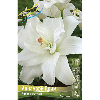 Лилия Аннамари Дрим 16/18 25 шт Биг-Пак 9586 