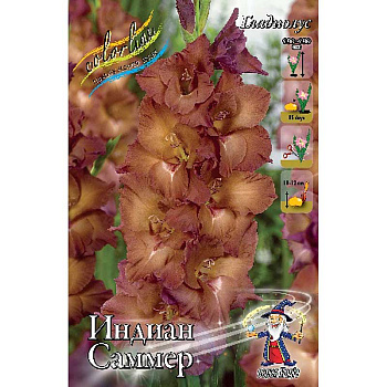 Гладиолус Индиан Саммер 10/12 100 шт Шоу-бокс 2798 