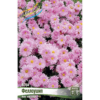 Астра Феллоушип I 25 шт Биг-Пак 8303