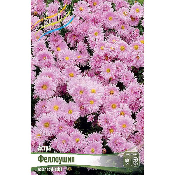 Астра Феллоушип I 25 шт Биг-Пак 8303