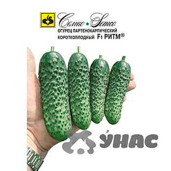 Огурец Ритм Семко Ц