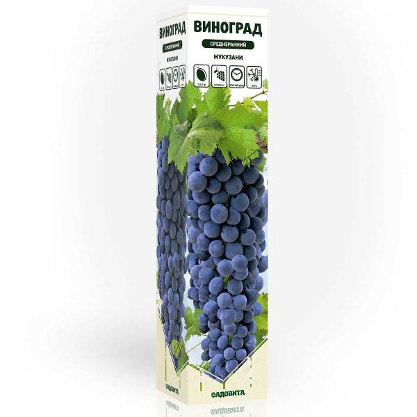 Виноград Мукузани среднеранний Садовита