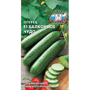 Огурец Балконное чудо Седек Ц