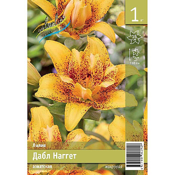 Лилия Дабл Наггет 12/14 1 Эконом шт 