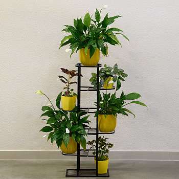 Подставка д/цветов Разборная-7 Черная г.Тверь