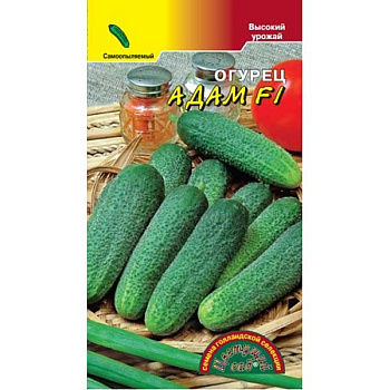 Огурец  Адам ЦветСад Ц