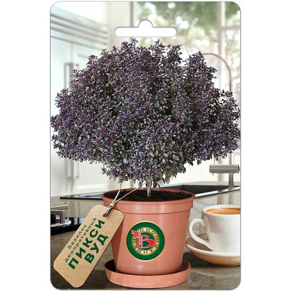 Базилик Пикси Вуд Биотехника Ц