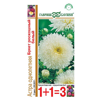 Астра Букет Роскошный белый 1+1 Гавриш Ц 