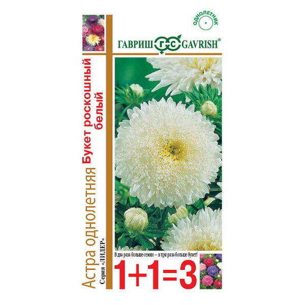 Астра Букет Роскошный белый 1+1 Гавриш Ц 