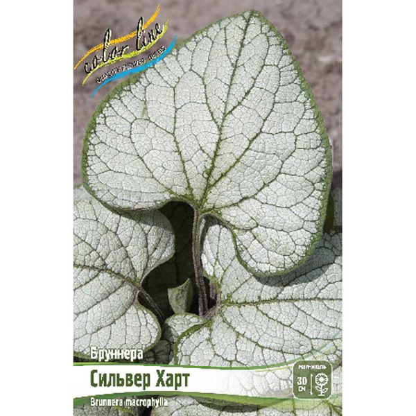Бруннера Сильвер Харт I 1 шт