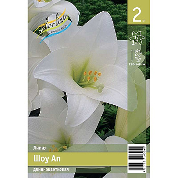 Лилия Шоу Ап 11/12 2 Эконом шт 