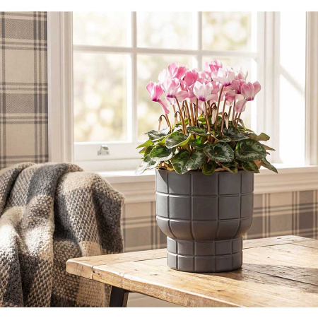 Кашпо КАРЕ D150мм 1л со вставкой графитовый М3256 х16 