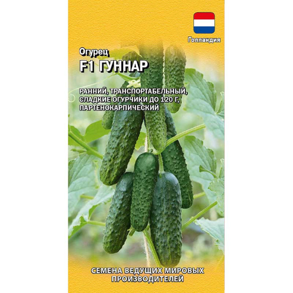 Огурец Гуннар Гавриш Ц