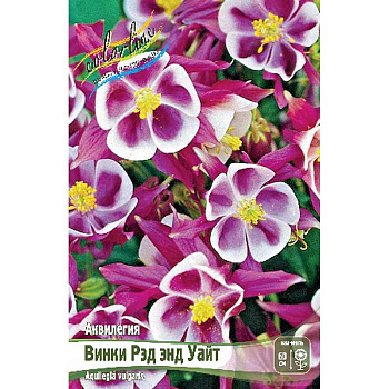 Аквилегия Винки Рэд Энд Уайт I 2 шт 