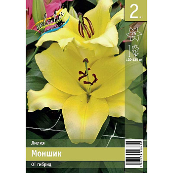 Лилия Моншик 16/18 2 Эконом шт