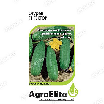 Огурец Гектор Гавриш Ц