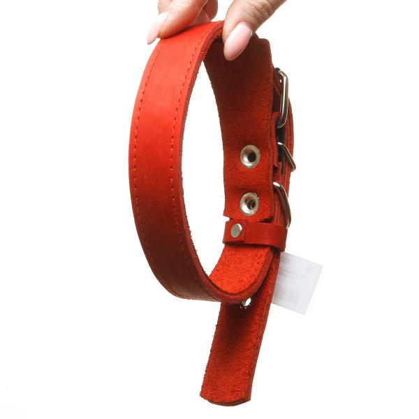 Ошейник кожаный двойной ширина 25 мм длина 50 см