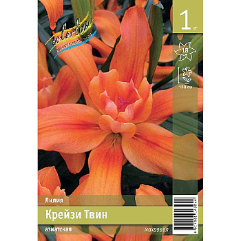 Лилия Крейзи Твин 12/14 1 Эконом шт 