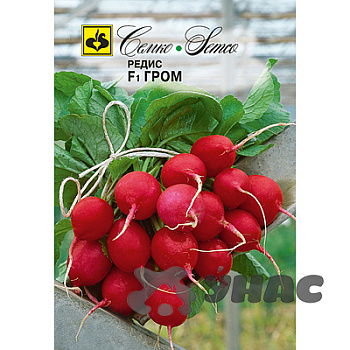 Редис Гром Семко Ц