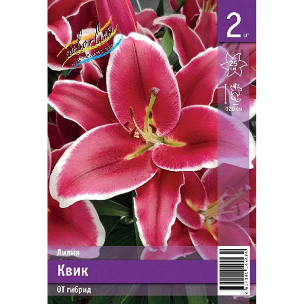 Лилия Квик 12/14 2 Эконом шт 