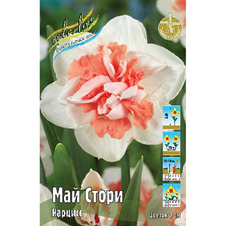1772 Шоу-Бокс Нарцисс Май Стори 12/14 50 шт