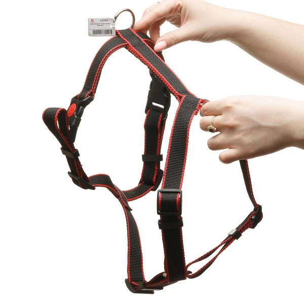 Шлея большая капрон-ватин ширина 25 мм  обхват шеи 60-80 см