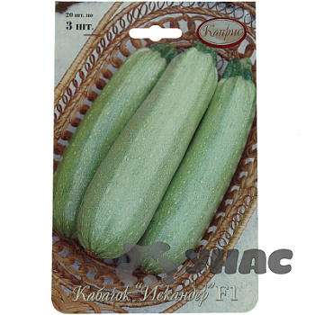 Кабачок Искандер 3шт (Нидерланды) Каприс