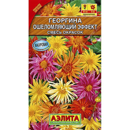 Георгин Ошеломляющий эффект смесь Аэлита Ц 