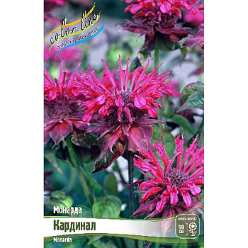 9891 Биг-Пак Монарда Кардинал I 25 шт