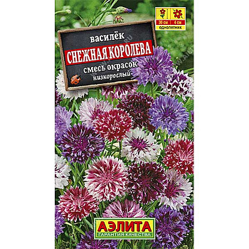 Василек Снежная королева Аэлита Ц 