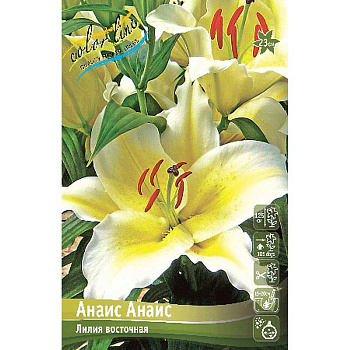 Лилия Анаис Анаис 12/14 25 шт Биг-пак 10331