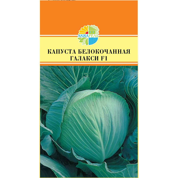 Капуста Галакси Маринда/Акварель Ц