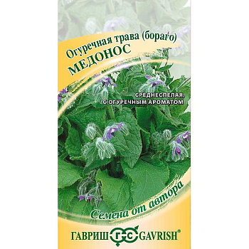 Трава огуречная Медонос Гавриш Ц