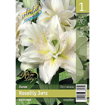 Лилия Roselily Зита 12/14 1 Эконом шт 