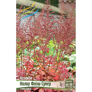 Астильба Колор Флэш Супер 2/3 n 25 шт Биг-пак 6834