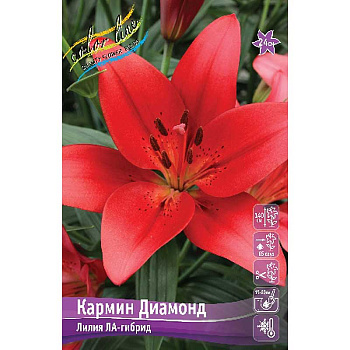 Лилия Кармин Диамонд 10/12 25 шт Биг-пак 10061 