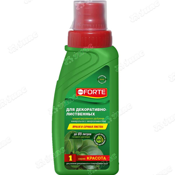 Бона Форте 285мл КРАСОТА Для декоративно-лиственных растений (BF21010261) х20 