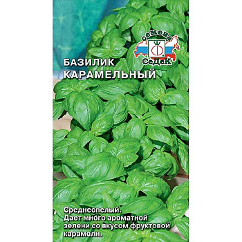 Базилик Карамельный Седек Ц