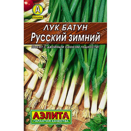 Лук батун Русский зимний Аэлита Ц Лидер х10