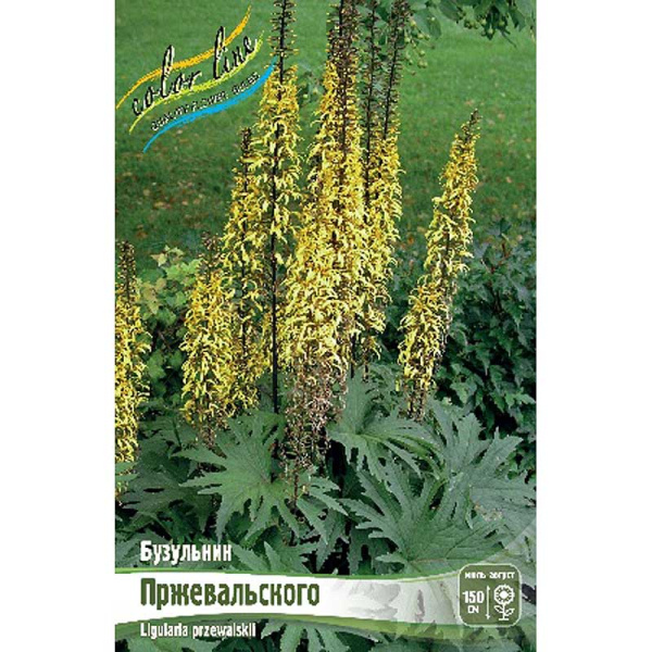 Бузульник Пржевальского I 25 шт Биг-Пак 4649