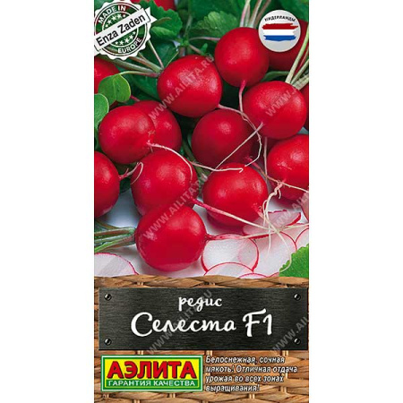 Редис Селеста Аэлита Ц