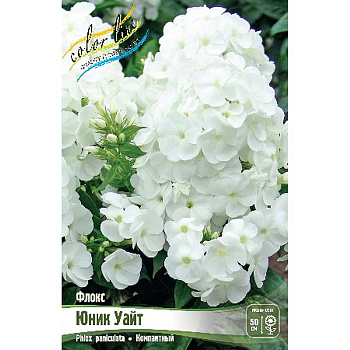Флокс Юник Уайт I 2 шт