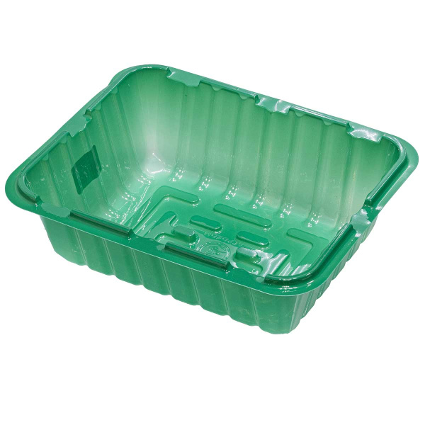 Парник 1 место (21*16*6,5см) х1100 