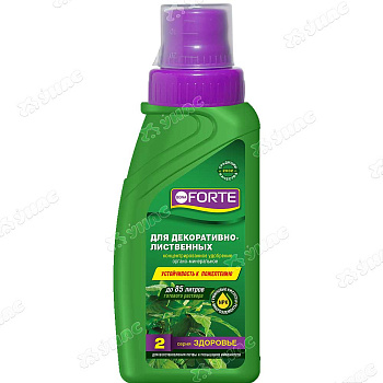 Бона Форте 285мл ЗДОРОВЬЕ Для декоративно-лиственных (BF21060101) х20 